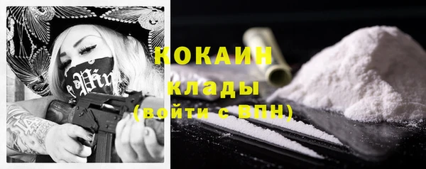 соль ск Лиски