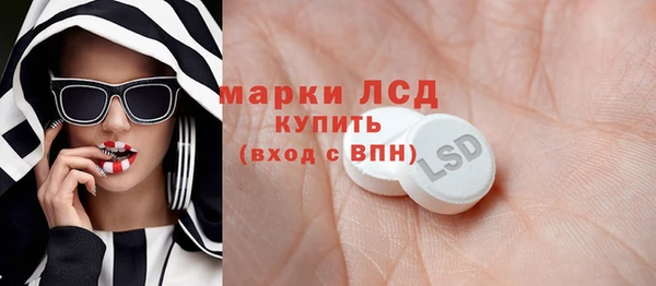 индика Лихославль