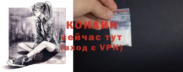 соль ск Лиски
