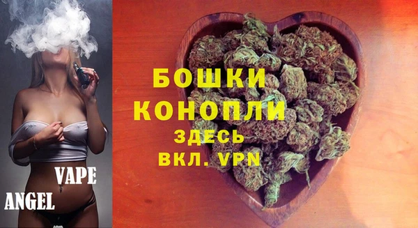 индика Лихославль