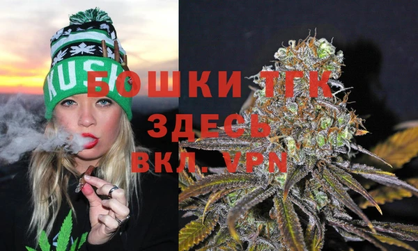 индика Лихославль