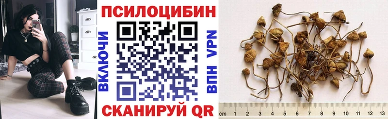 blacksprut как зайти  Сергач  Псилоцибиновые грибы Magic Shrooms 