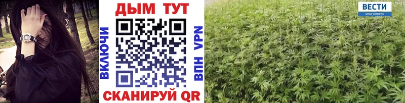 Конопля OG Kush Сергач