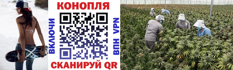 Каннабис планчик  где купить наркоту  Сергач 